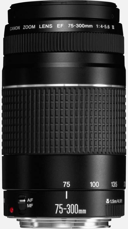 Canon EF 75-300mm f/4-5.6 III USM Lens online kopen