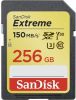 Sandisk 256 GB SDXC Extreme Class 10 online kopen